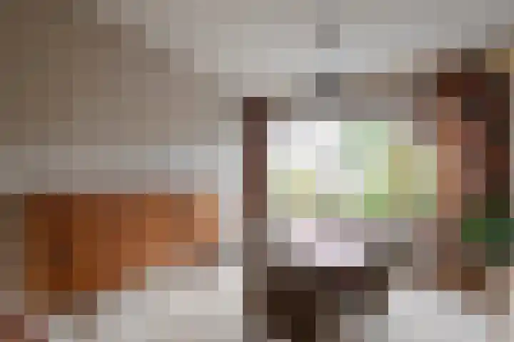 Reigershof 19 Schagen thumbnail 7