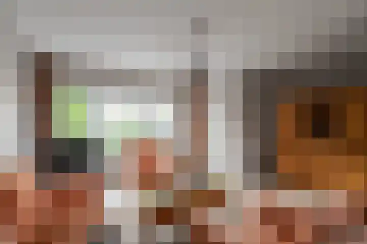 Reigershof 19 Schagen thumbnail 8