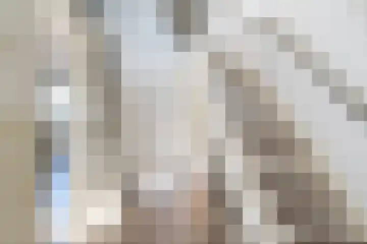 Reigershof 20 Kollum thumbnail 16