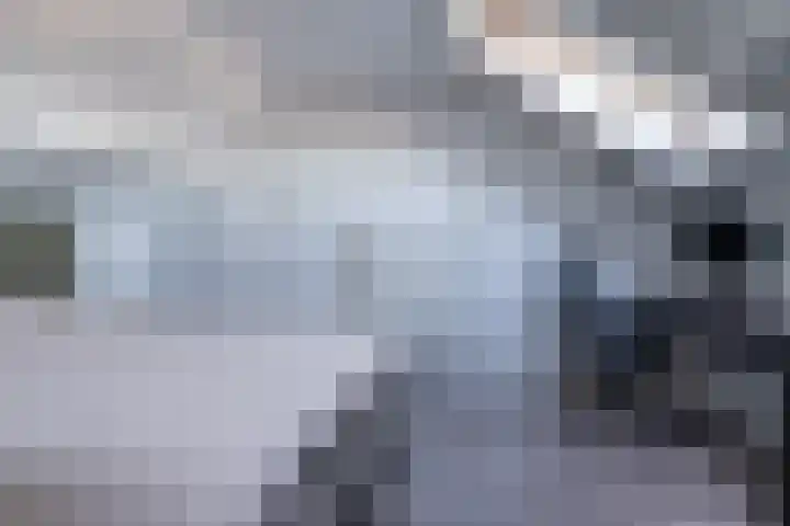 Reigershof 20 Kollum thumbnail 26
