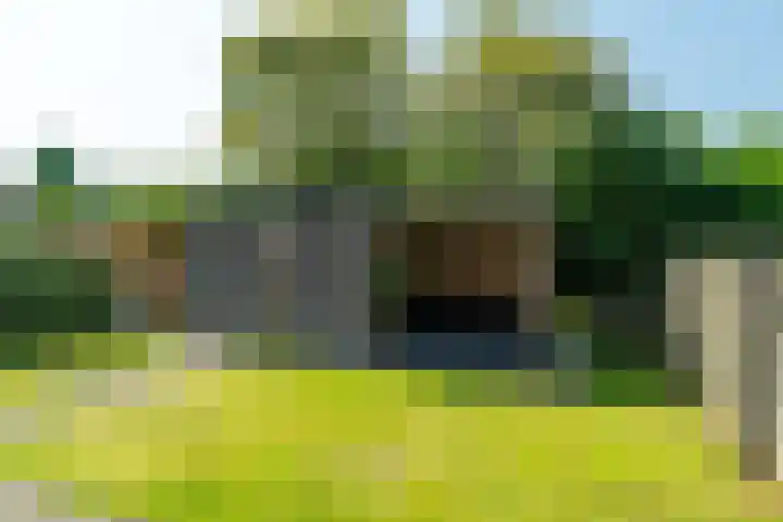 Reigershof 20 Kollum thumbnail 32