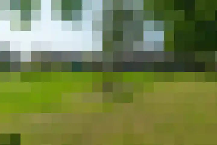 Reigershof 20 Kollum thumbnail 35