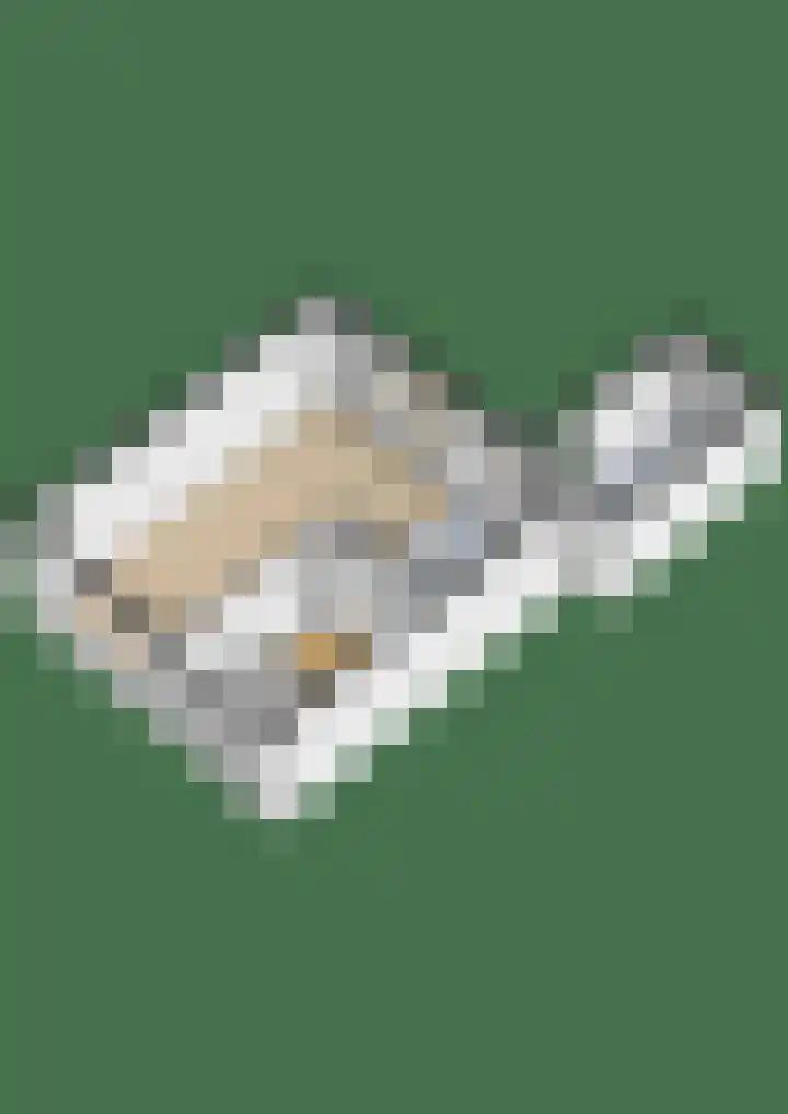 Reigershof 20 Kollum thumbnail 41