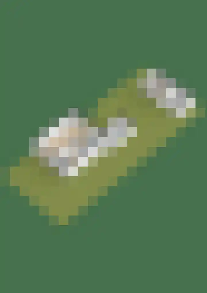 Reigershof 20 Kollum thumbnail 45