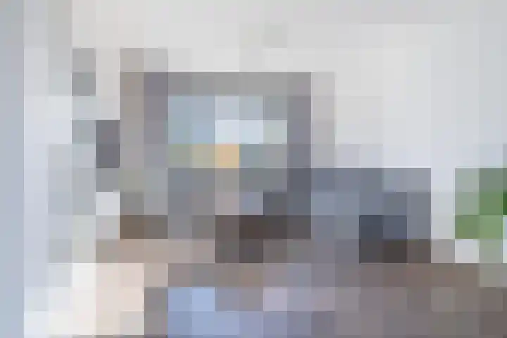 Reigershof 20 Kollum thumbnail 7