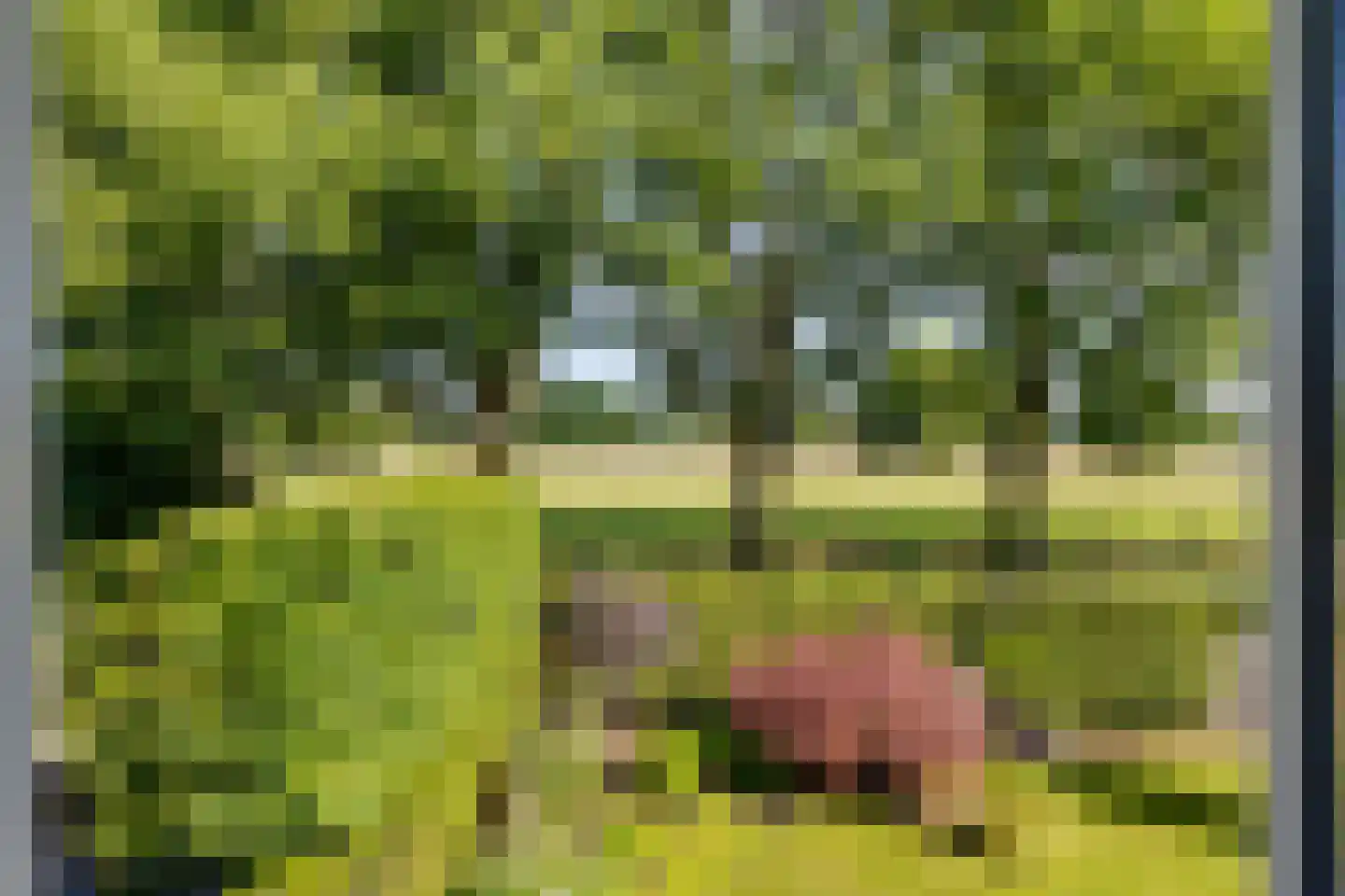 Reigershof 22 Varsseveld thumbnail 23
