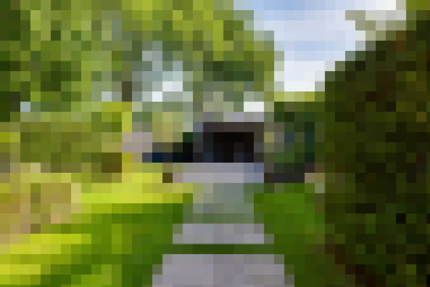 Reigershof 22 Varsseveld thumbnail 35