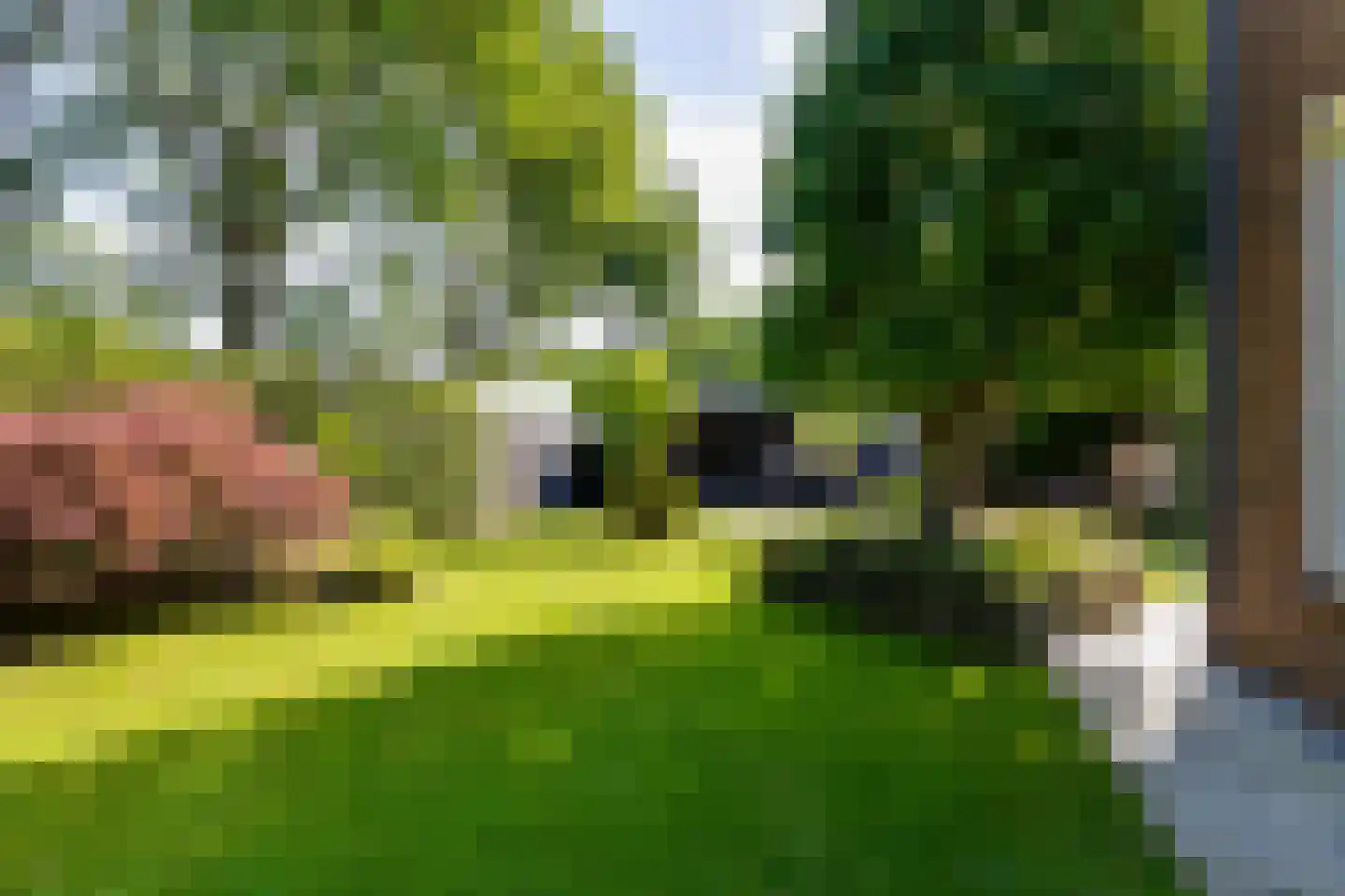 Reigershof 22 Varsseveld thumbnail 37