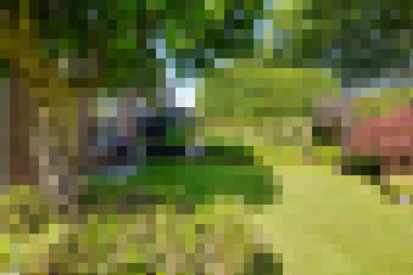 Reigershof 22 Varsseveld thumbnail 38