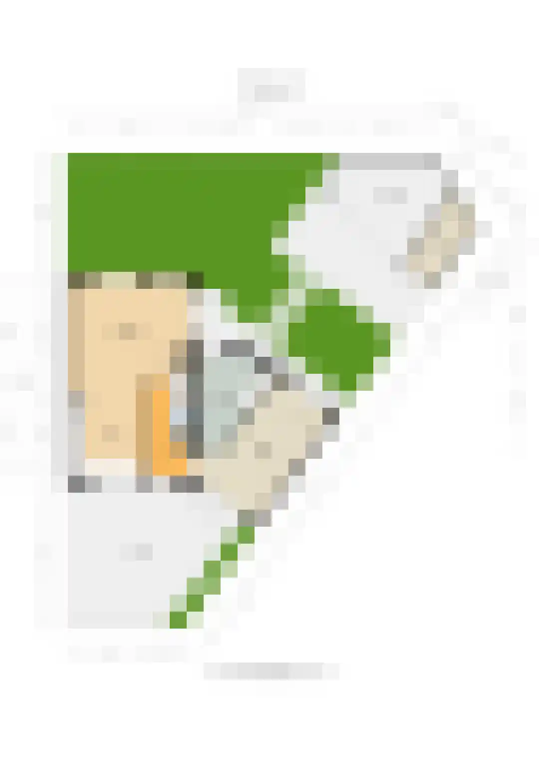Reigershof 22 Varsseveld thumbnail 42