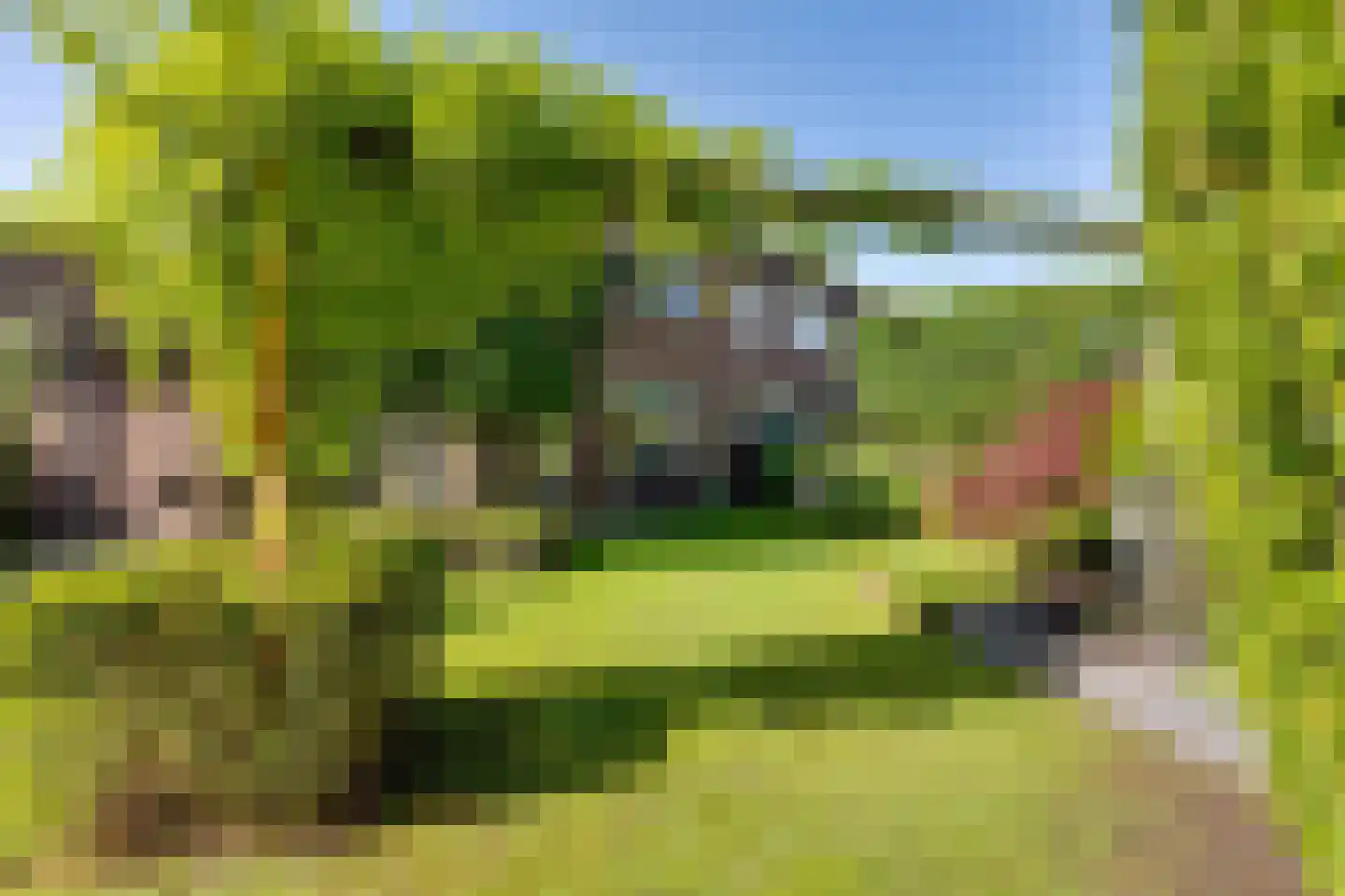 Reigershof 22 Varsseveld thumbnail 7