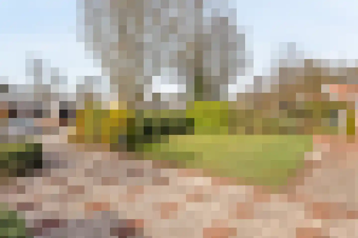 Reigershof 24 Borne thumbnail 4
