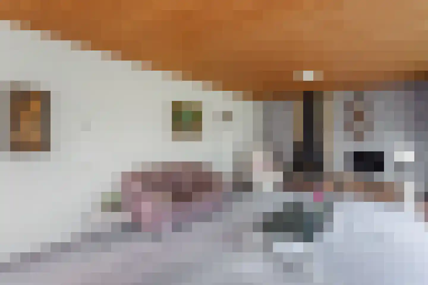 Reigershof 24 Borne thumbnail 5