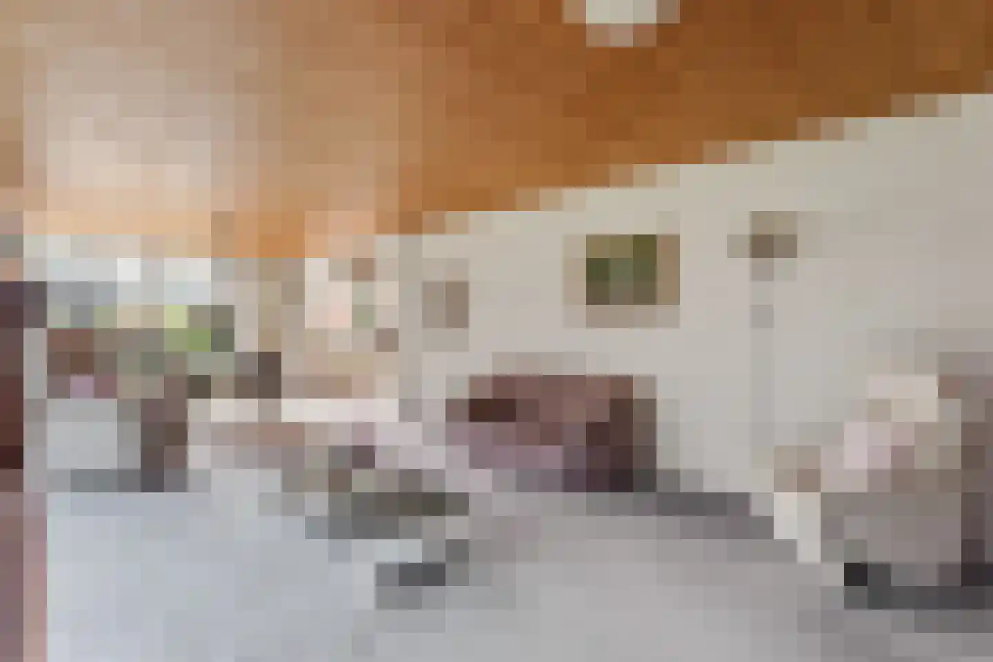 Reigershof 24 Borne thumbnail 7