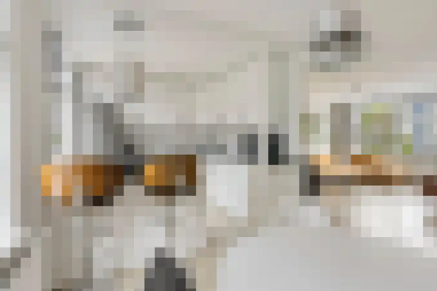 Reigershof 46 Schagen thumbnail 17
