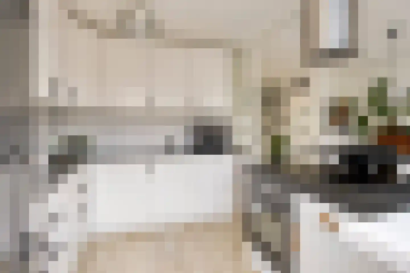Reigershof 46 Schagen thumbnail 18