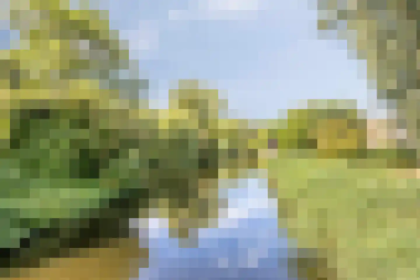 Reigershof 46 Schagen thumbnail 43