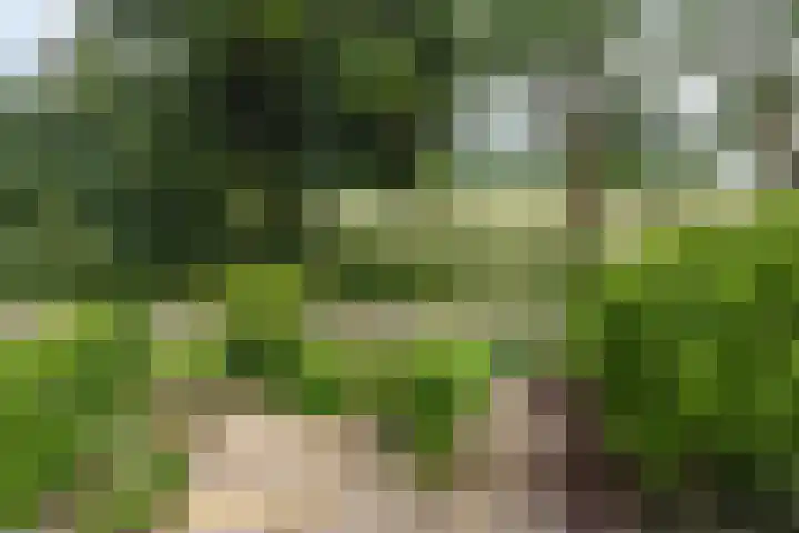 Reigershof 52 Varsseveld thumbnail 28