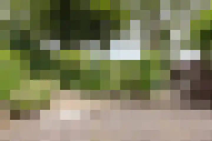 Reigershof 52 Varsseveld thumbnail 35