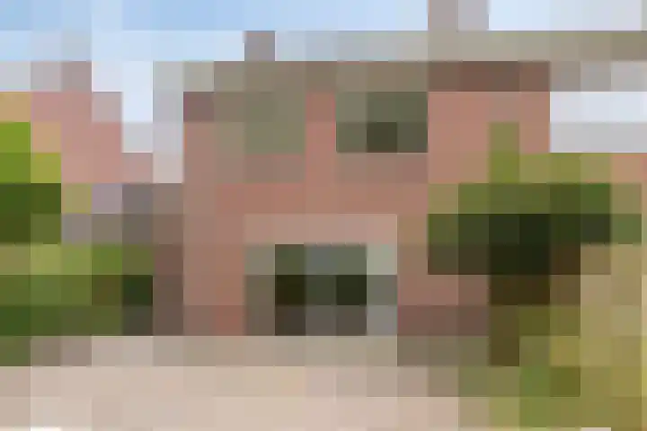 Reigershof 52 Varsseveld thumbnail 36