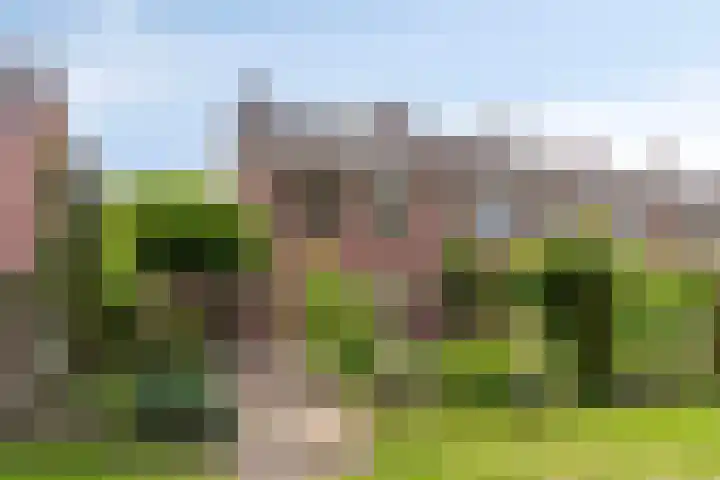 Reigershof 52 Varsseveld thumbnail 37
