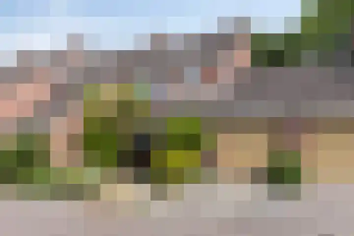 Reigershof 52 Varsseveld thumbnail 4