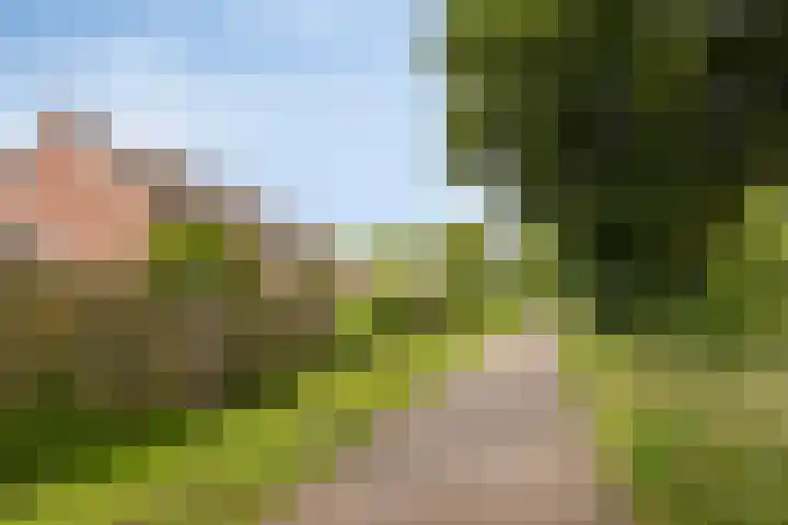 Reigershof 52 Varsseveld thumbnail 40