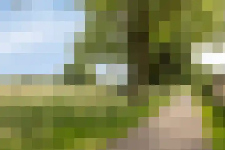 Reigershof 52 Varsseveld thumbnail 41