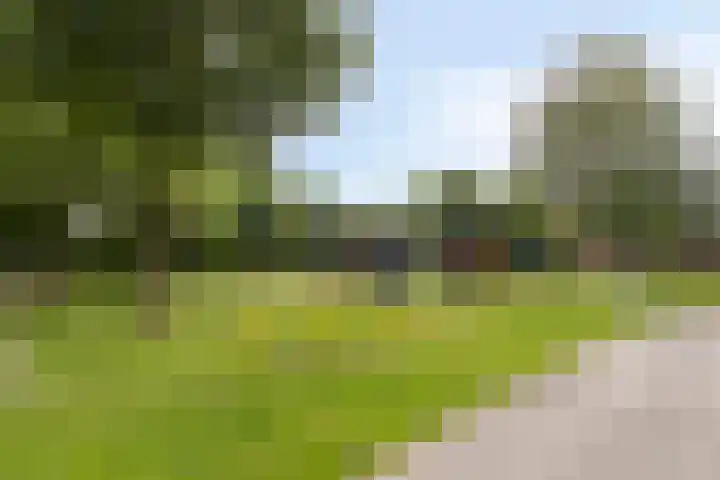 Reigershof 52 Varsseveld thumbnail 42