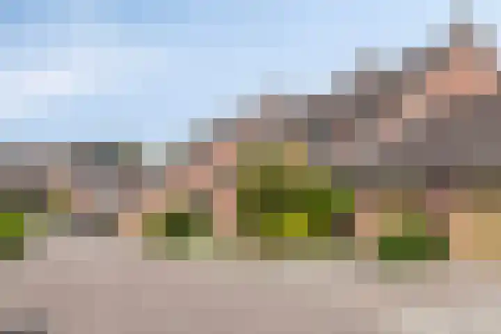 Reigershof 52 Varsseveld thumbnail 5