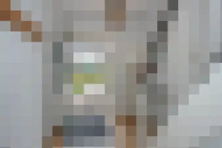 Reigershof 6 Borne thumbnail 14