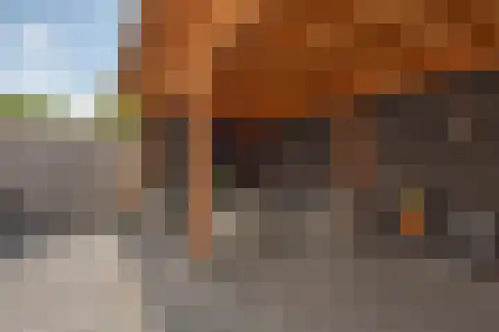 Reigershof 6 Borne thumbnail 27