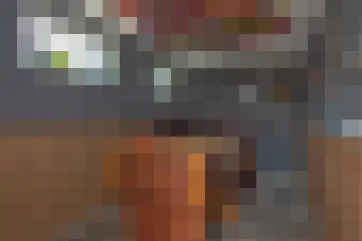 Reigershof 6 Borne thumbnail 30