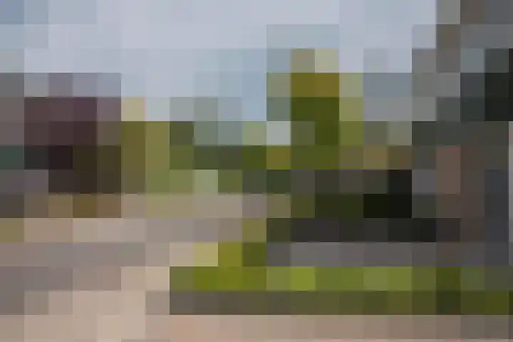 Reigershof 6 Borne thumbnail 31