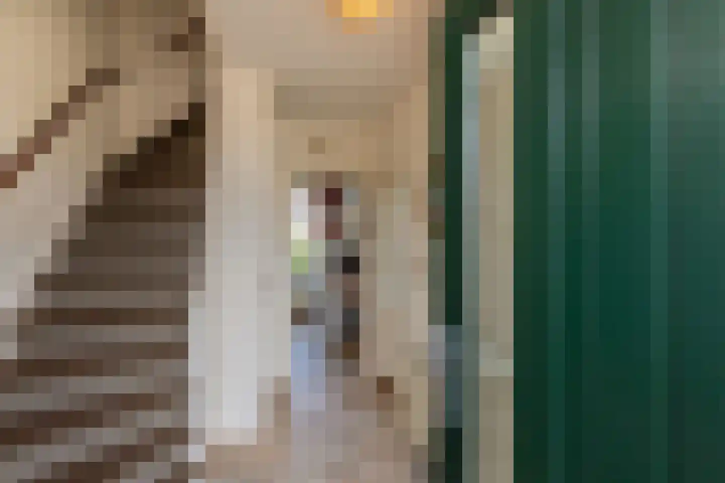Reigershoutstraat 9 Grijpskerke thumbnail 10