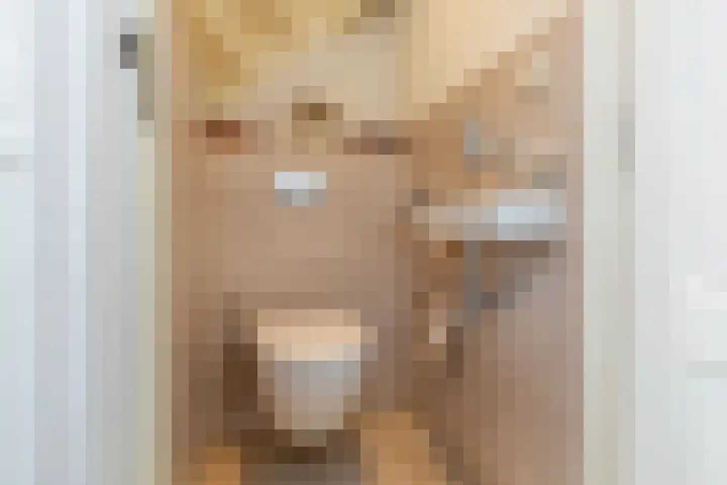 Reigershoutstraat 9 Grijpskerke thumbnail 11