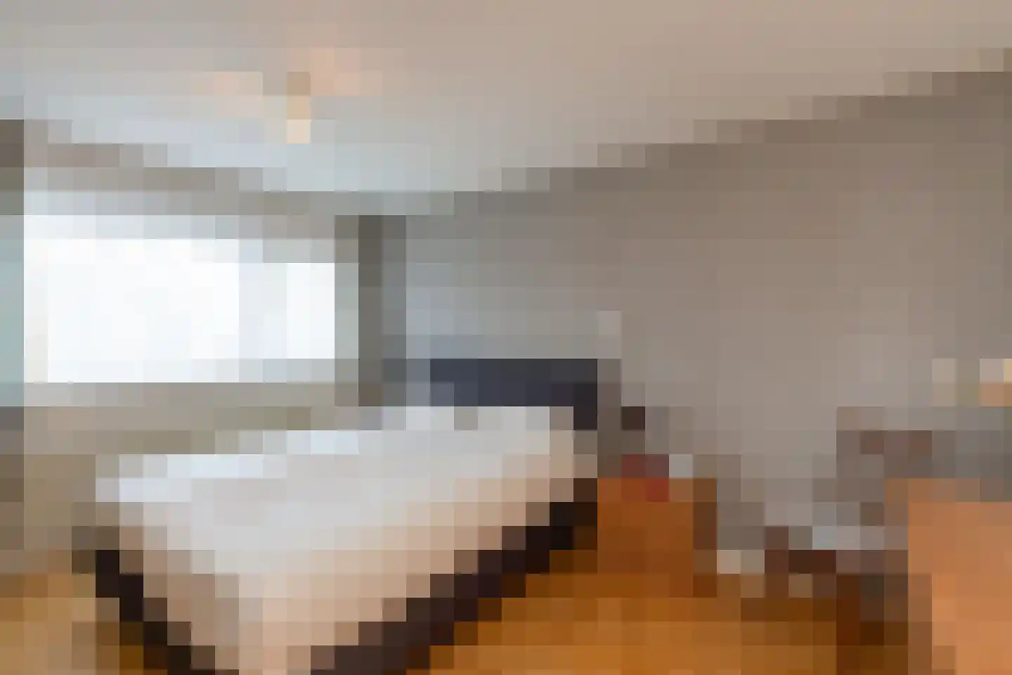 Reigershoutstraat 9 Grijpskerke thumbnail 12