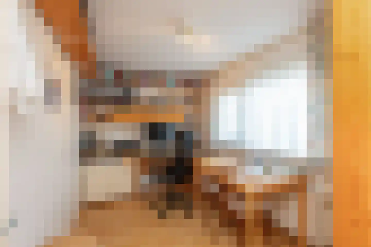 Reigershoutstraat 9 Grijpskerke thumbnail 15