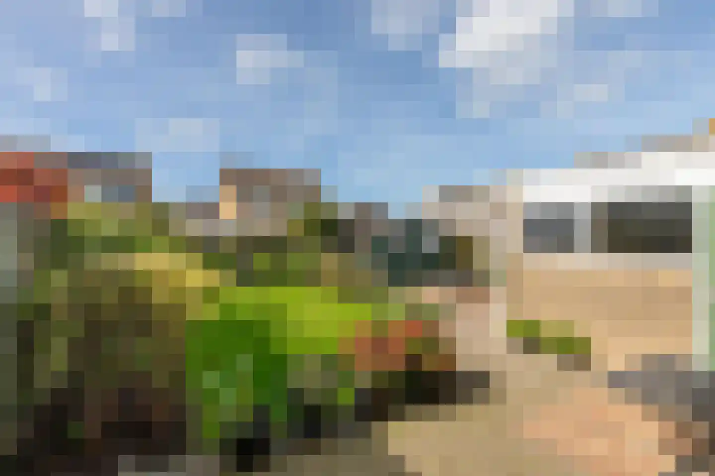 Reigershoutstraat 9 Grijpskerke thumbnail 18
