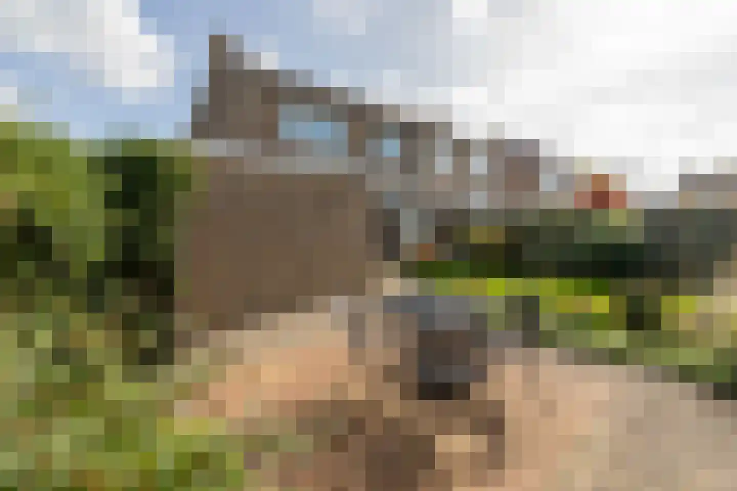 Reigershoutstraat 9 Grijpskerke thumbnail 21