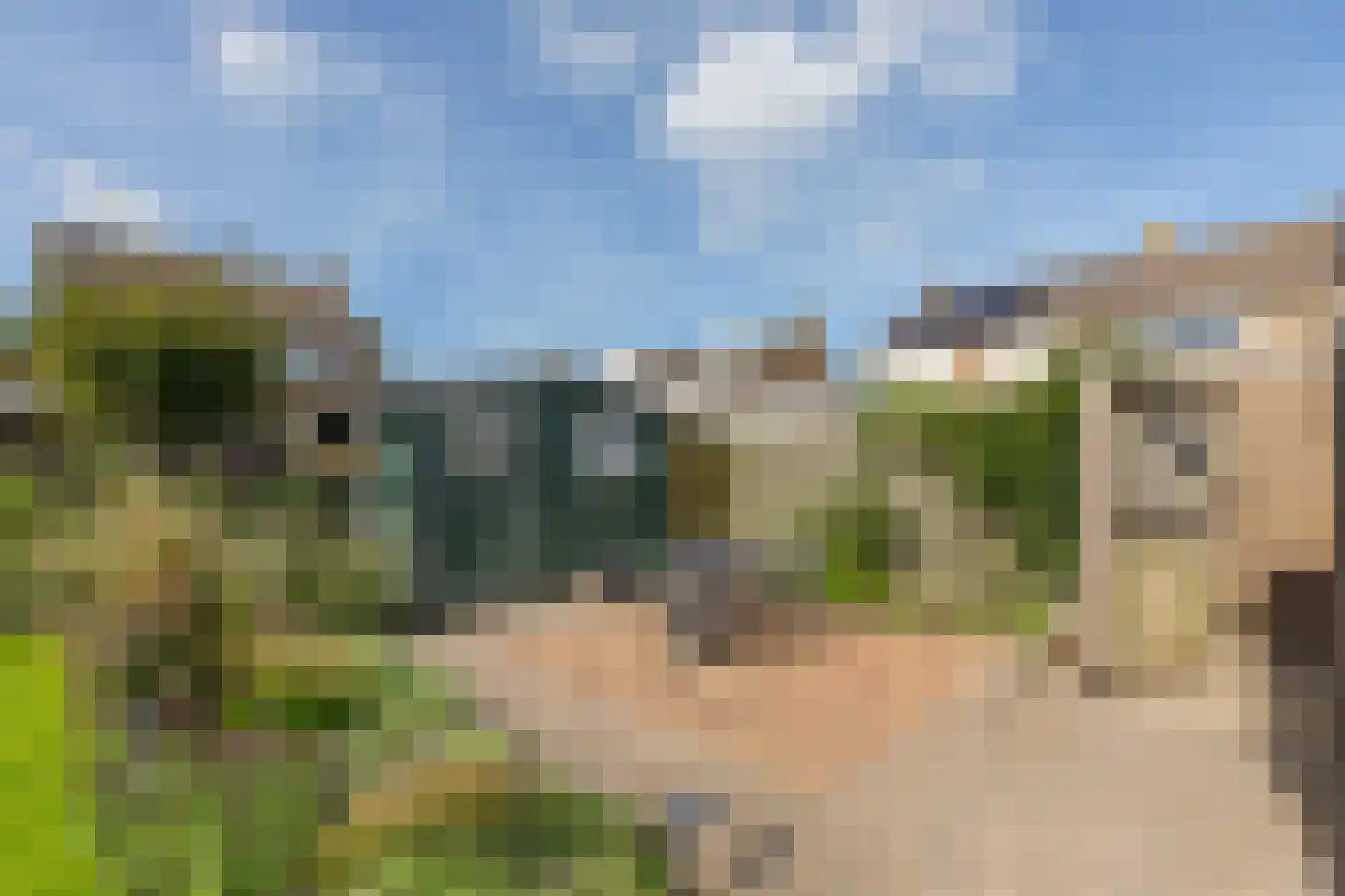 Reigershoutstraat 9 Grijpskerke thumbnail 22