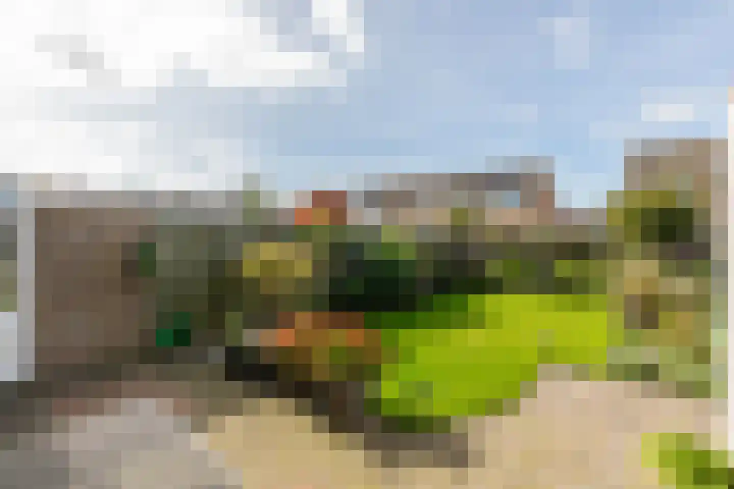 Reigershoutstraat 9 Grijpskerke thumbnail 23