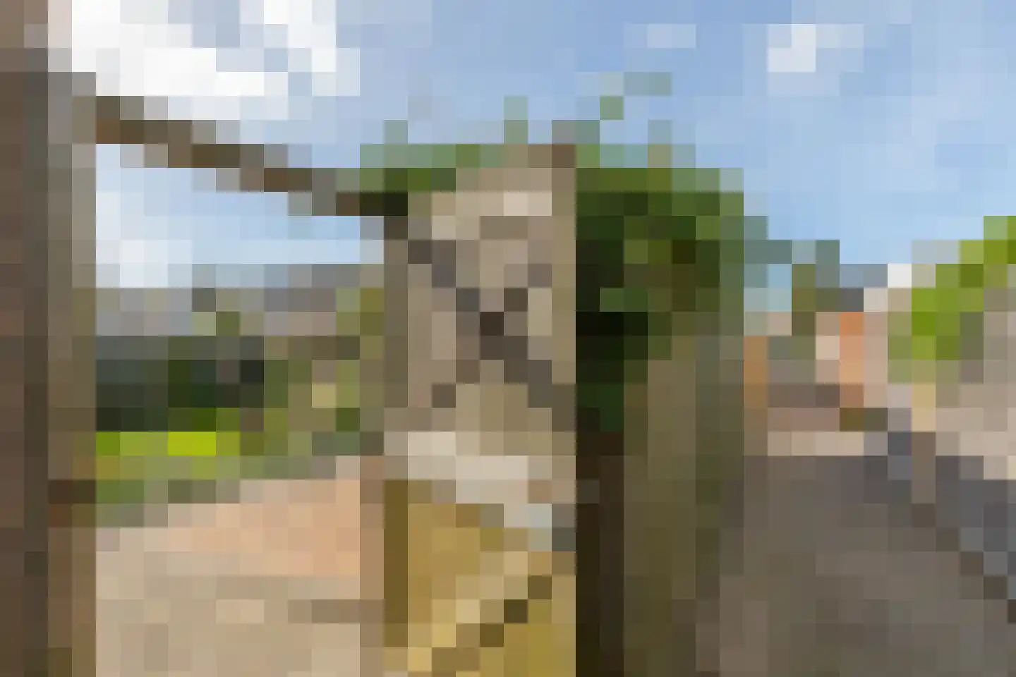 Reigershoutstraat 9 Grijpskerke thumbnail 28