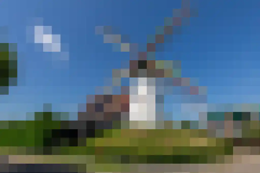 Reigershoutstraat 9 Grijpskerke thumbnail 34