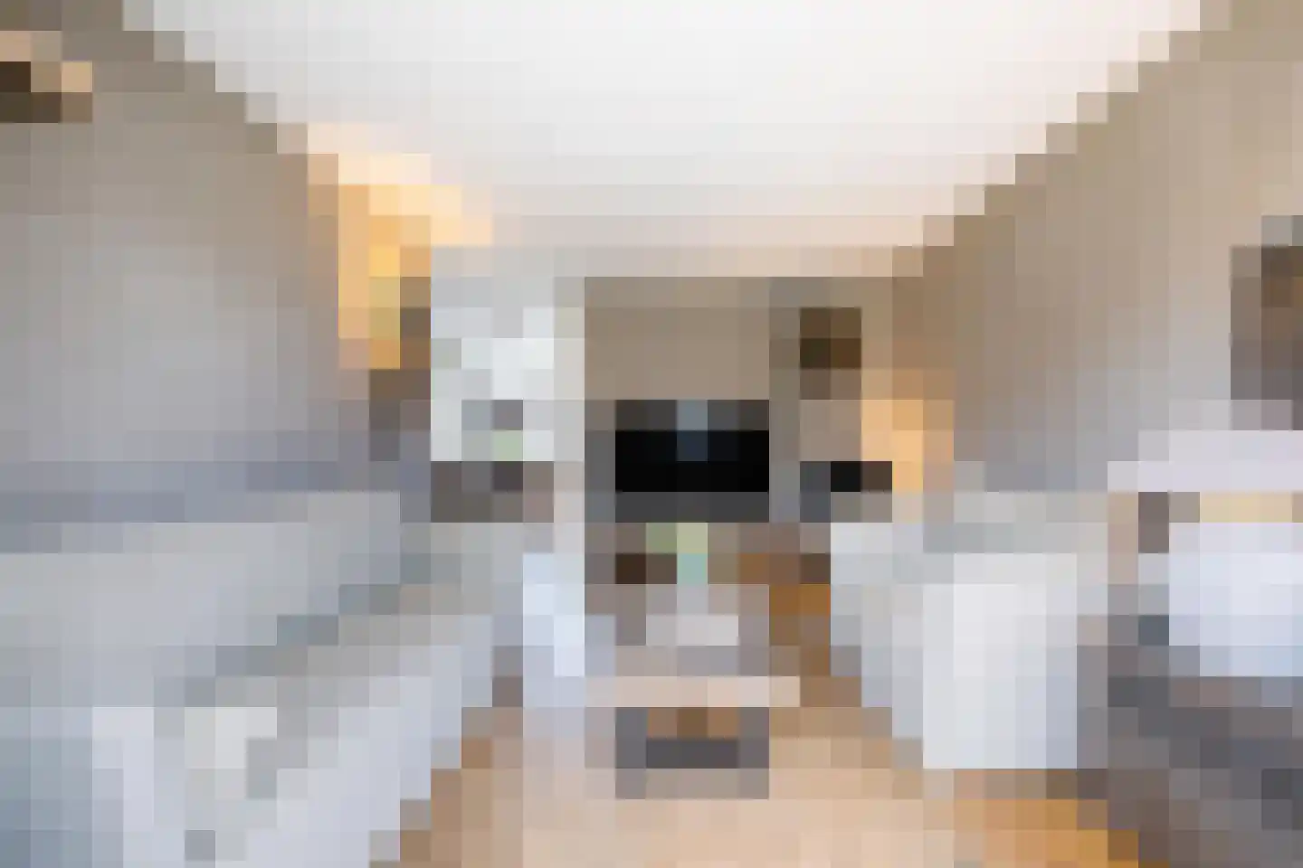 Reigersingel 26 Bergambacht thumbnail 13