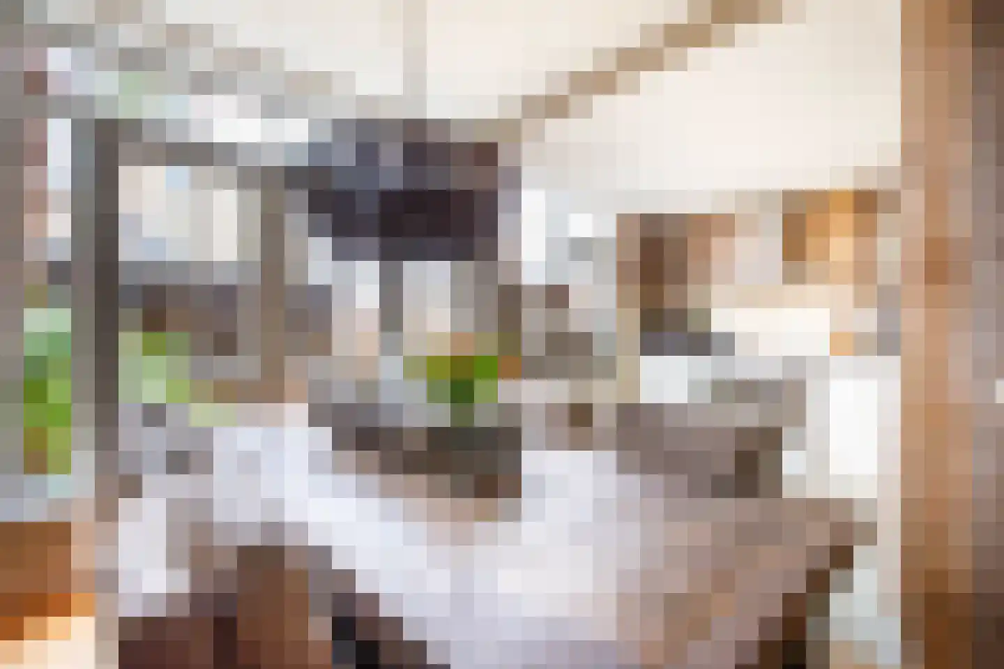 Reigersingel 26 Bergambacht thumbnail 18