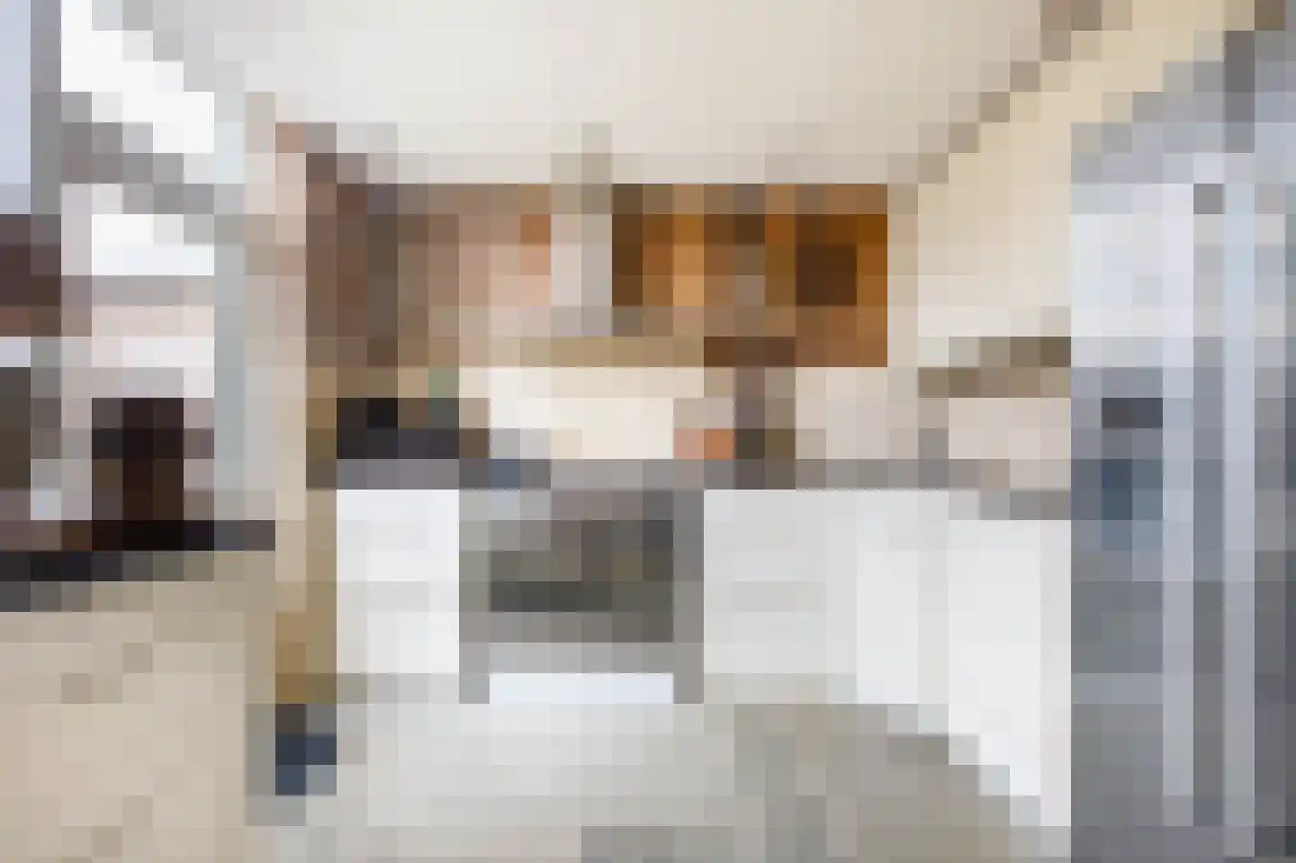 Reigersingel 26 Bergambacht thumbnail 20