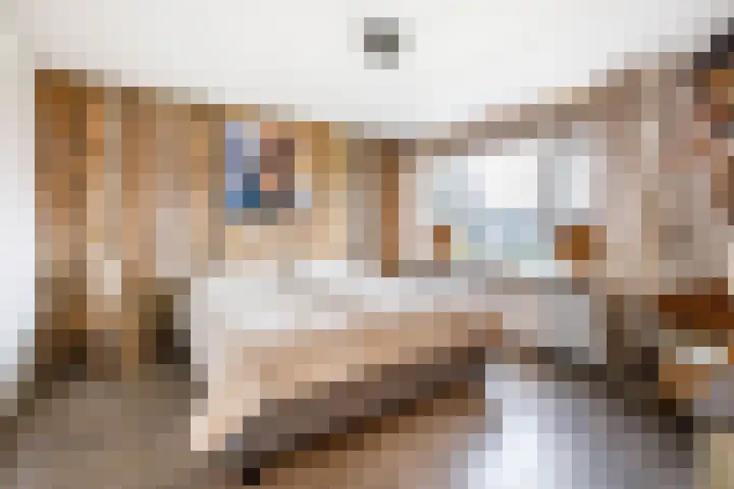 Reigersingel 26 Bergambacht thumbnail 22