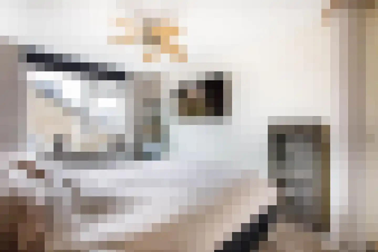 Reigersingel 26 Bergambacht thumbnail 26