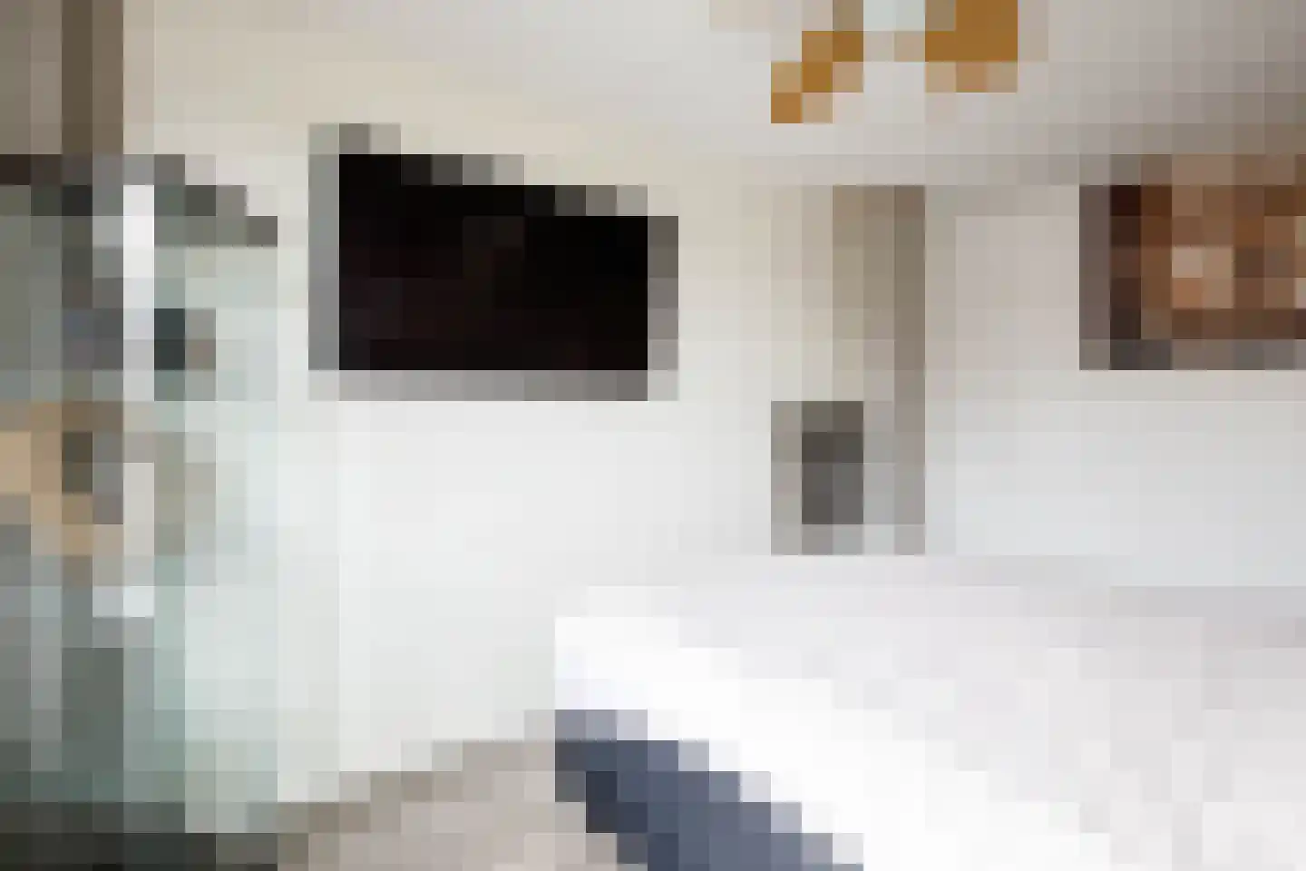 Reigersingel 26 Bergambacht thumbnail 27